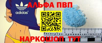 PSILOCYBIN Гатчина