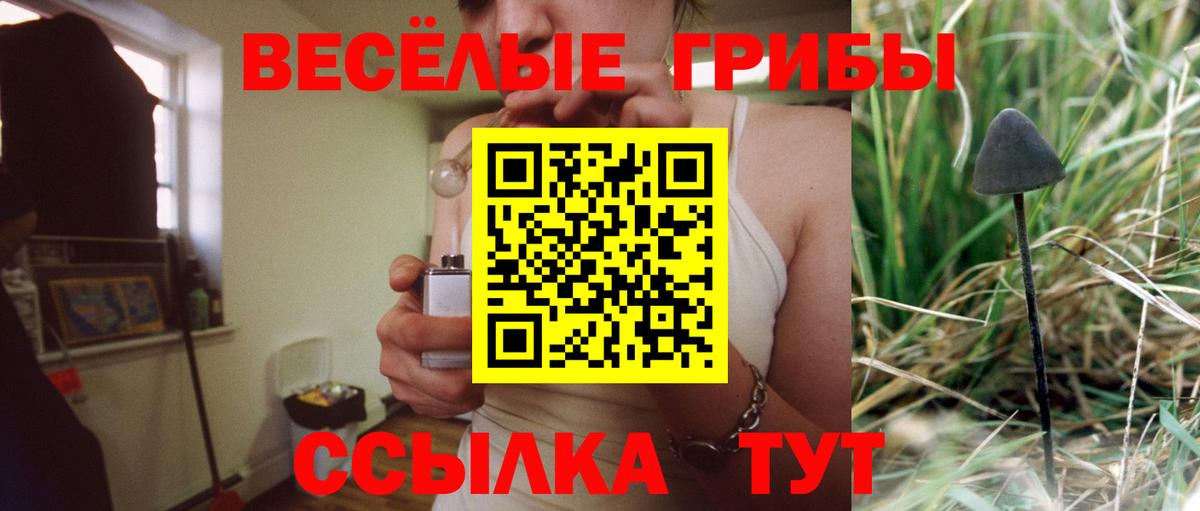 продажа наркотиков  Галлюциногенные грибы прущие грибы  Бердск  Вход с VPN  Галлюциногенные грибы Psilocybe 